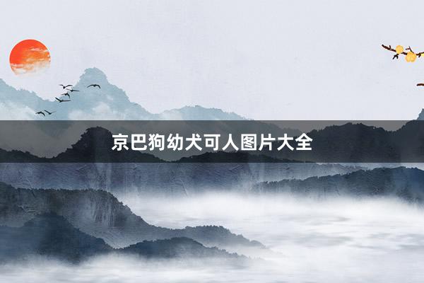 京巴狗幼犬可人图片大全